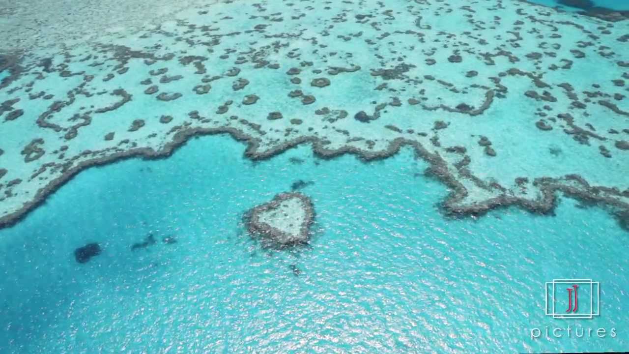 Airlie Beach Tours & Whitsundays Adventures
