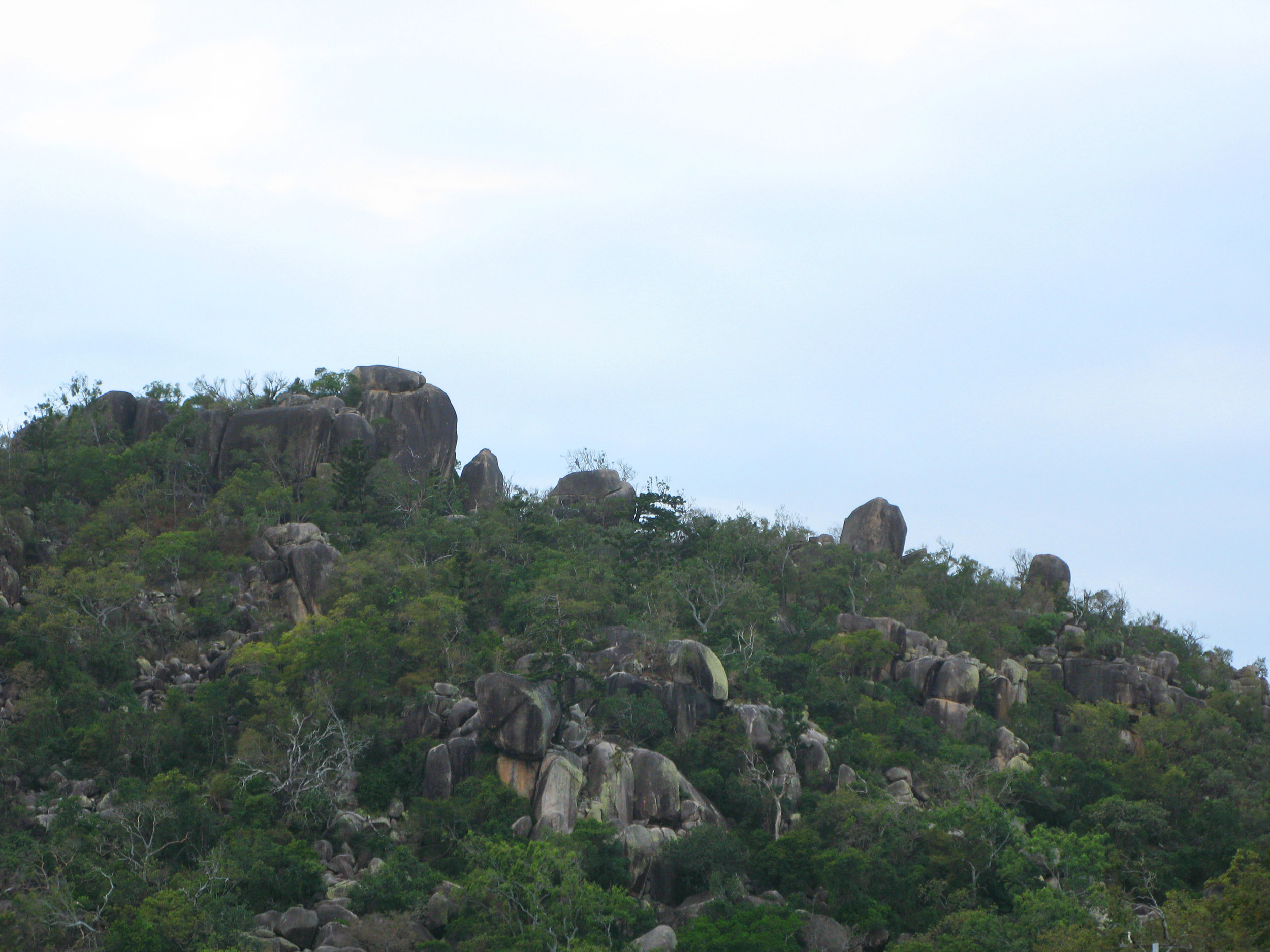 Magnetic Island & Townsville